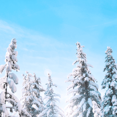 e3df923a-stanley-dai-qlfjlyeamv4-unsplash-1.png